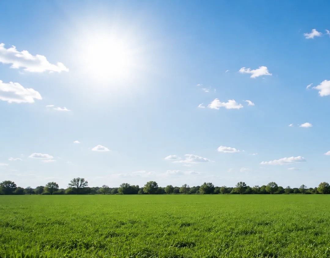 Wide green meadow under a blue sky